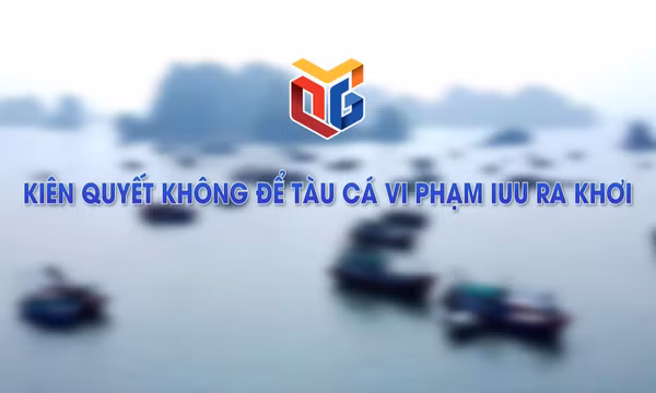 Kiên quyết không để tàu cá vi phạm IUU ra khơi