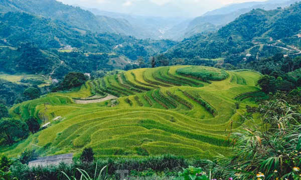 Ngất ngây cảnh sắc 'thiên đường' ruộng bậc thang ở Hoàng Su Phì