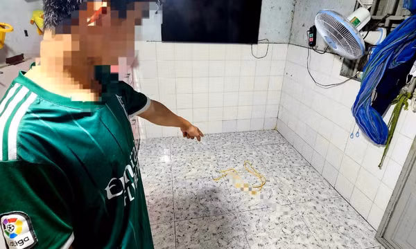 Vợ bị chồng bạo hành dã man ở Bình Dương, chích điện, đâm nhiều nhát vào vùng kín