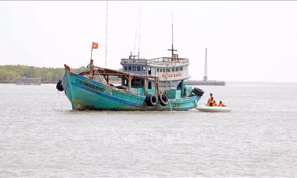 Xử lý dứt điểm vi phạm về khai thác hải sản bất hợp pháp