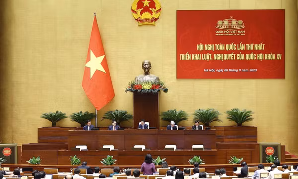 Hoàn thiện pháp luật gắn với nâng cao hiệu lực, hiệu quả tổ chức thi hành pháp luật