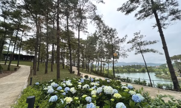 The Harmony Tuần Châu – nơi tận hưởng thiên nhiên và âm nhạc 
