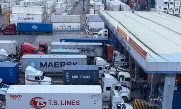 Hàng trăm container chuối, mít, sầu riêng bất ngờ bị 'tuýt còi' xuất Trung Quốc