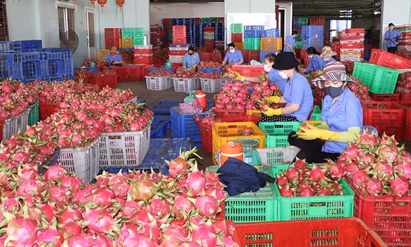Xuất nhập khẩu hàng hóa: Vượt qua khó khăn, nỗ lực tìm lại đà tăng trưởng