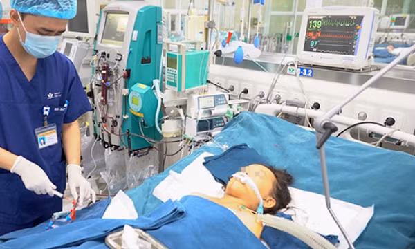 Bị ong đốt hơn 100 nốt, bé trai 10 tuổi tử vong do bị suy đa tạng, rối loạn đông máu