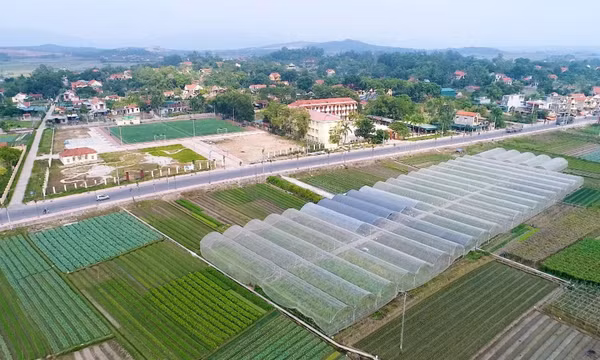 Nông dân Quảng Yên với nông nghiệp đô thị