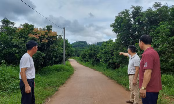 Hạ Long: Phát huy vai trò của MTTQ trong các cuộc vận động, phong trào thi đua