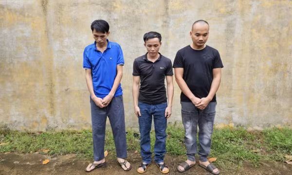 Hám mua vật liệu giá rẻ, sập bẫy đôi bạn tù