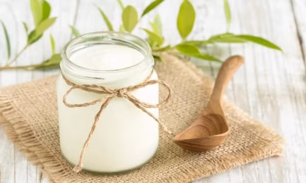 Thời điểm vàng nên ăn sữa chua
