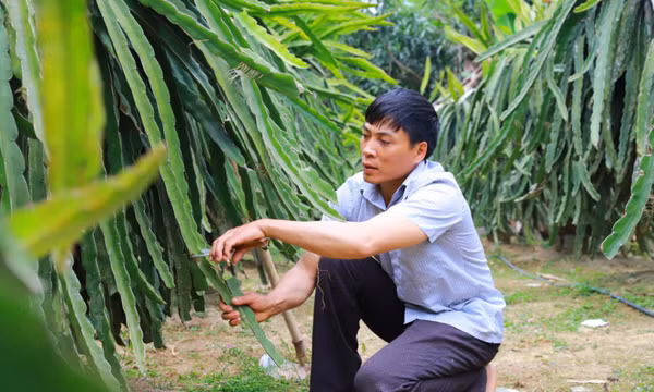 Giảm nghèo bền vững: Nhiều thành tựu ấn tượng