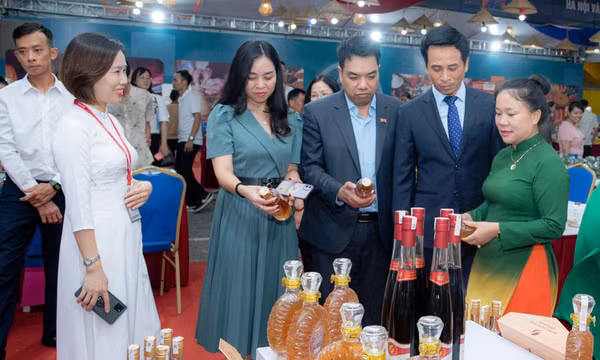 Doanh nhân nữ đồng hành với sự phát triển của tỉnh