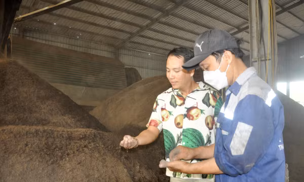 Phạm Tiên Phong với mô hình tái chế nguyên liệu phân bón từ rác