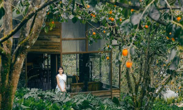 Bật mí địa điểm chụp hình mộng mơ ở Đà Lạt mùa hồng chín