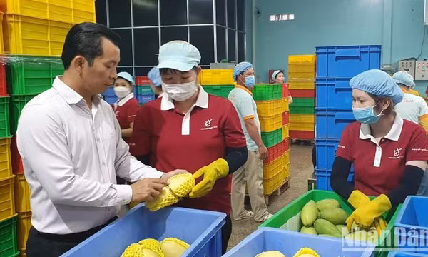 Gian nan bài toán xây dựng thương hiệu cho nông sản tại thị trường EU
