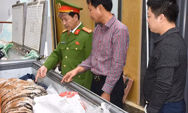 Thanh Hóa khởi tố 2 đối tượng mua bán, tàng trữ động vật nguy cấp, quý hiếm là hổ