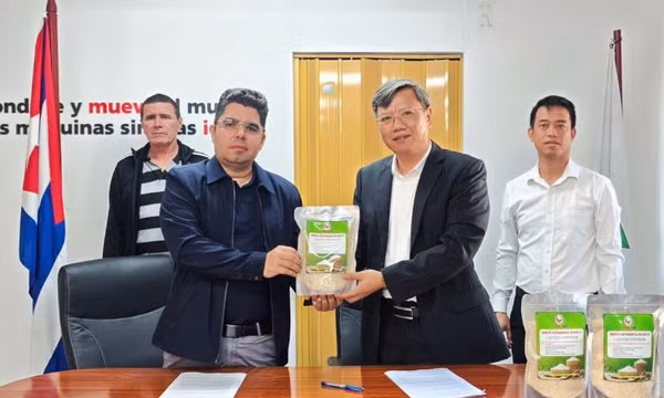 Bàn giao 250 tấn gạo do doanh nghiệp Việt Nam sản xuất cho Cuba