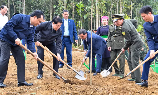 Chủ tịch nước Lương Cường: Tiếp tục đưa phong trào trồng cây đi vào chiều sâu, thực chất