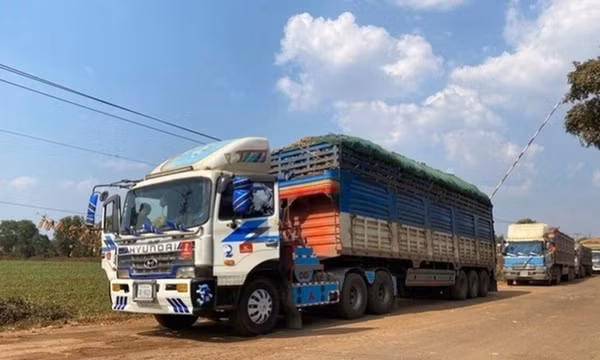 Tạm dừng áp dụng Nghị định số 46 về an toàn thực phẩm đến hết ngày 15/4/2026