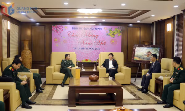 Tổng cục II (Bộ Quốc phòng) thăm, chúc Tết tỉnh Quảng Ninh