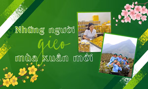 Những người gieo mùa xuân mới