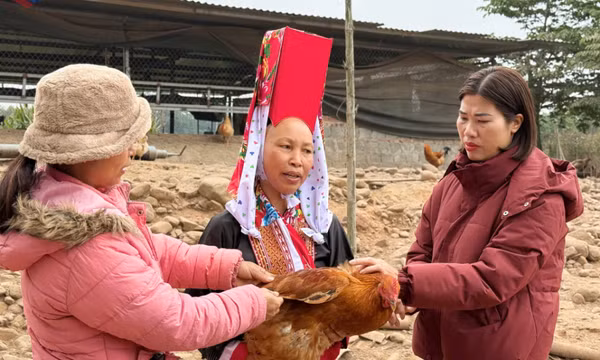 Cùng nông dân sản xuất thực phẩm an toàn 