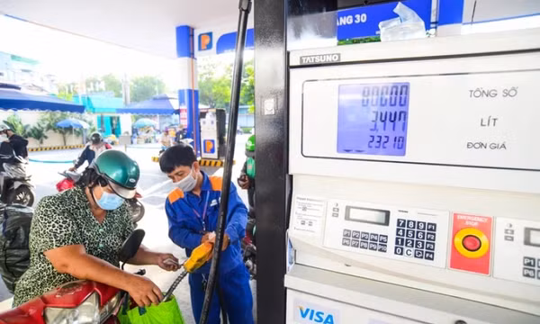 Hơn 20 thương nhân kinh doanh xăng dầu dừng hoạt động trong năm 2025