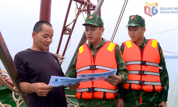 Đồng bộ giải pháp chống khai thác IUU, phát triển bền vững ngành thủy sản