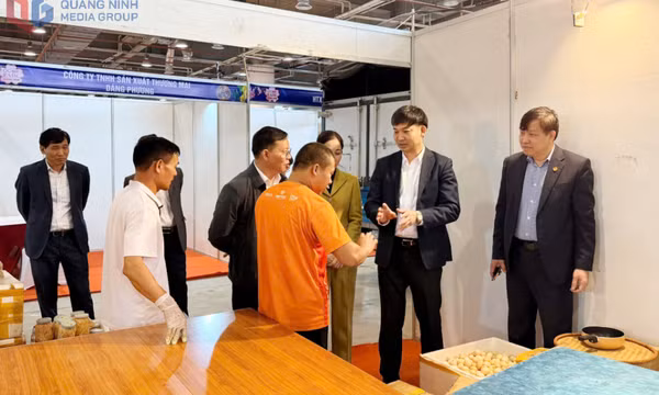 Kiểm tra công tác chuẩn bị Hội chợ OCOP Quảng Ninh – Xuân 2026