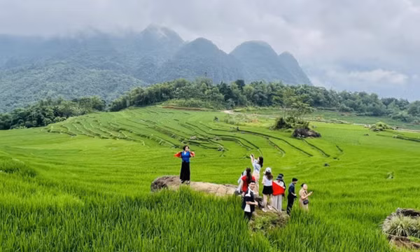 Thúc đẩy du lịch bền vững qua dự án Điểm đến tài năng sinh thái