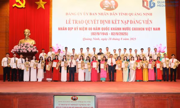Vững niềm tin theo Đảng