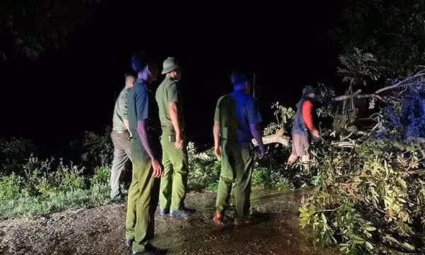 Nghệ An: Cành cây lớn gãy đè người đàn ông tử vong