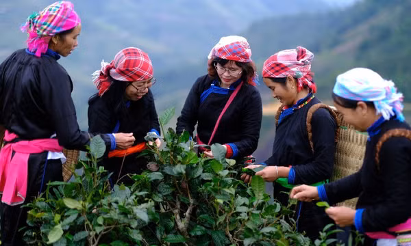 Ứng dụng trí tuệ nhân tạo trong du lịch: Xu hướng mới của người Việt