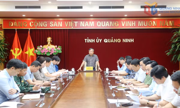 Thường trực Tỉnh ủy họp chỉ đạo khắc phục vụ đắm tàu trên Vịnh Hạ Long