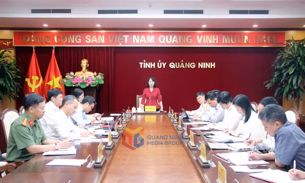Họp Tiểu ban Tổ chức phục vụ Đại hội đại biểu Đảng bộ tỉnh lần thứ XVI, nhiệm kỳ 2025-2030