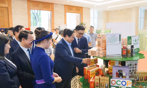 Hành trình "5 sao" của miến dong Bình Liêu