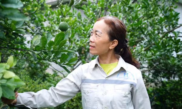 Công khai, minh bạch trong vay vốn chính sách