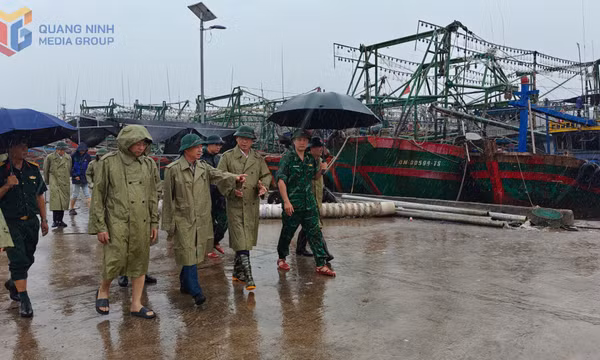 Các đồng chí lãnh đạo tỉnh kiểm tra công tác phòng chống bão tại một số địa phương miền Đông 