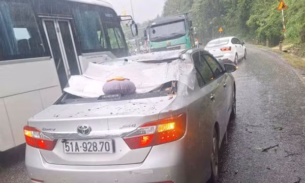 Cây rừng cao gần 10m ở đèo Bảo Lộc bất ngờ ngã đổ, đè trúng xe ôtô đang lưu thông