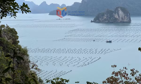 Đẩy nhanh tiến độ giao biển
