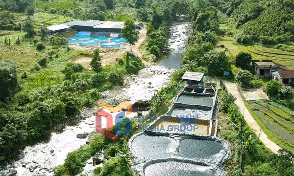Nông thôn mới (xã Quảng Tân)