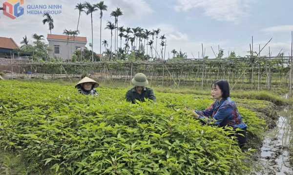 Kỳ vọng vào những quyết sách tạo sự đột phá