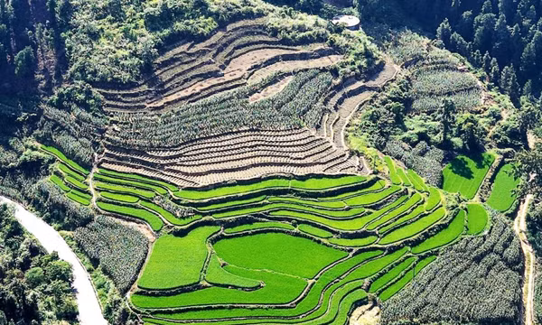 Vẻ đẹp ruộng bậc thang Đông Lan (Hà Trì, Quảng Tây, Trung Quốc)