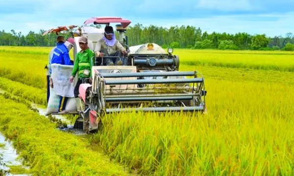 Đưa nông sản Việt vượt bão thuế, hướng tới kim ngạch 65 tỷ USD