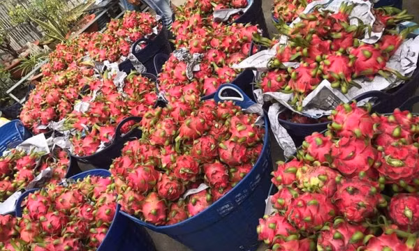 Cần minh bạch biện pháp SPS trong xuất khẩu thực phẩm