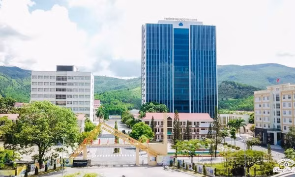 Bản tin Vùng Đông Bắc ngày 25/01/2025