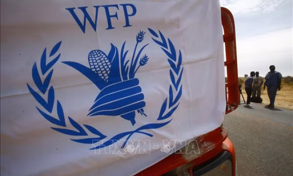 WFP cảnh báo nguy cơ cắt giảm viện trợ lương thực