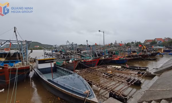 Phòng, chống cơn bão số 3 (Wipha)