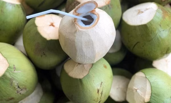 Dừa tươi Việt Nam: Từ đặc sản địa phương đến ngành hàng tỷ USD
