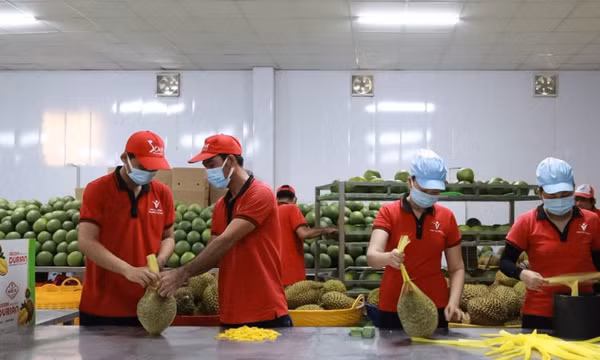 Xuất khẩu nông sản hướng tới mục tiêu 70 tỷ USD