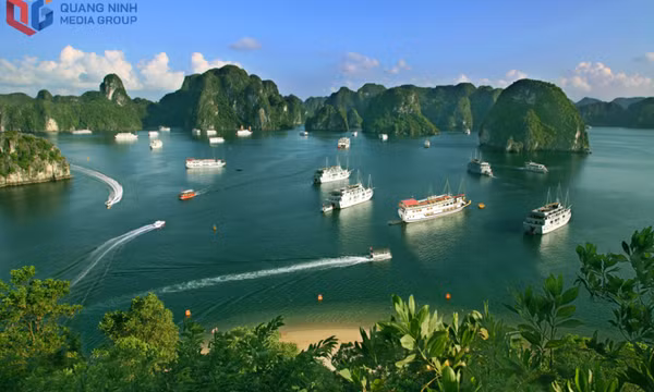 Động lực cho du lịch phát triển bền vững